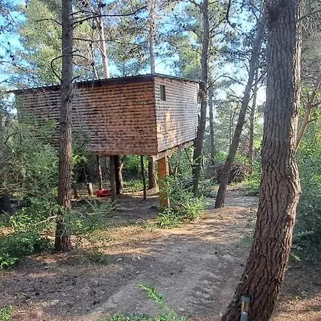 Treehouses Glamping Robinson *