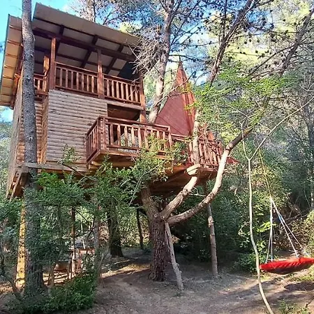 Treehouses Glamping Robinson Holiday home