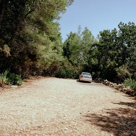 別荘 Treehouses Glamping Robinson *