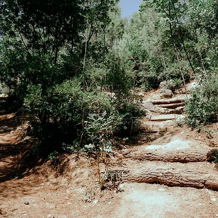 Treehouses Glamping Robinson Ljubač