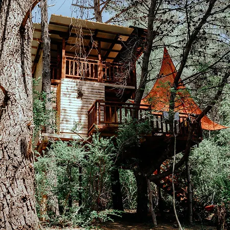 Treehouses Glamping Robinson Ferienhaus