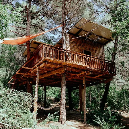 Ferienhaus Treehouses Glamping Robinson