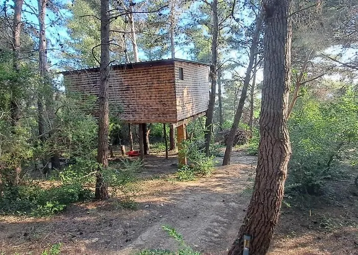 Treehouses Glamping Robinson *