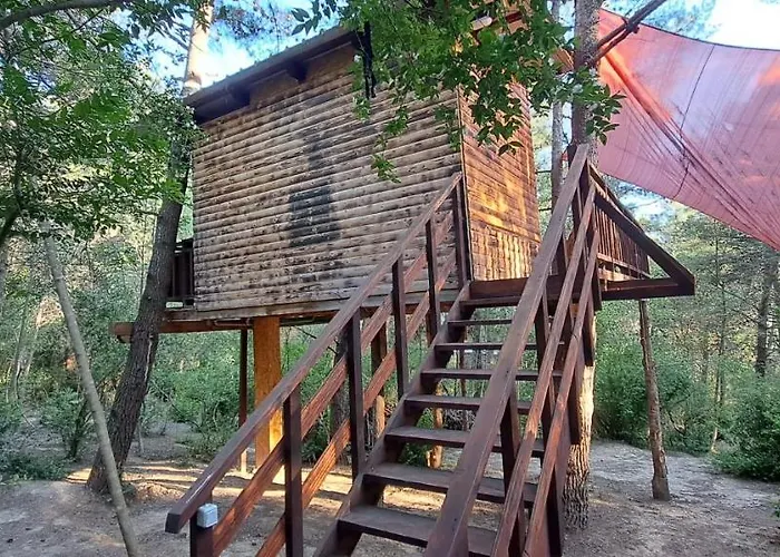 Treehouses Glamping Robinson *